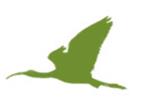 early bird booking logo
